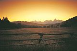 Majestic Tetons by Unknown Artist